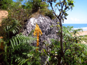 Küstenweg Etappe 9: LIENDO - GÜEMES